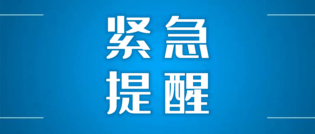 公司网站升级改版